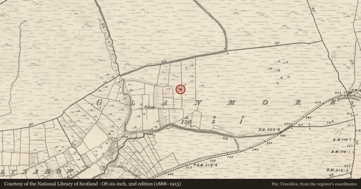 Ordnance Survey six-inch map, 2nd edition (1888–1915) covering the location of Field system, An Gleann Mór (Bar. Corca Dhuibhne, TC Dún Chaoin), County Kerry, with a pin at the register's coordinates