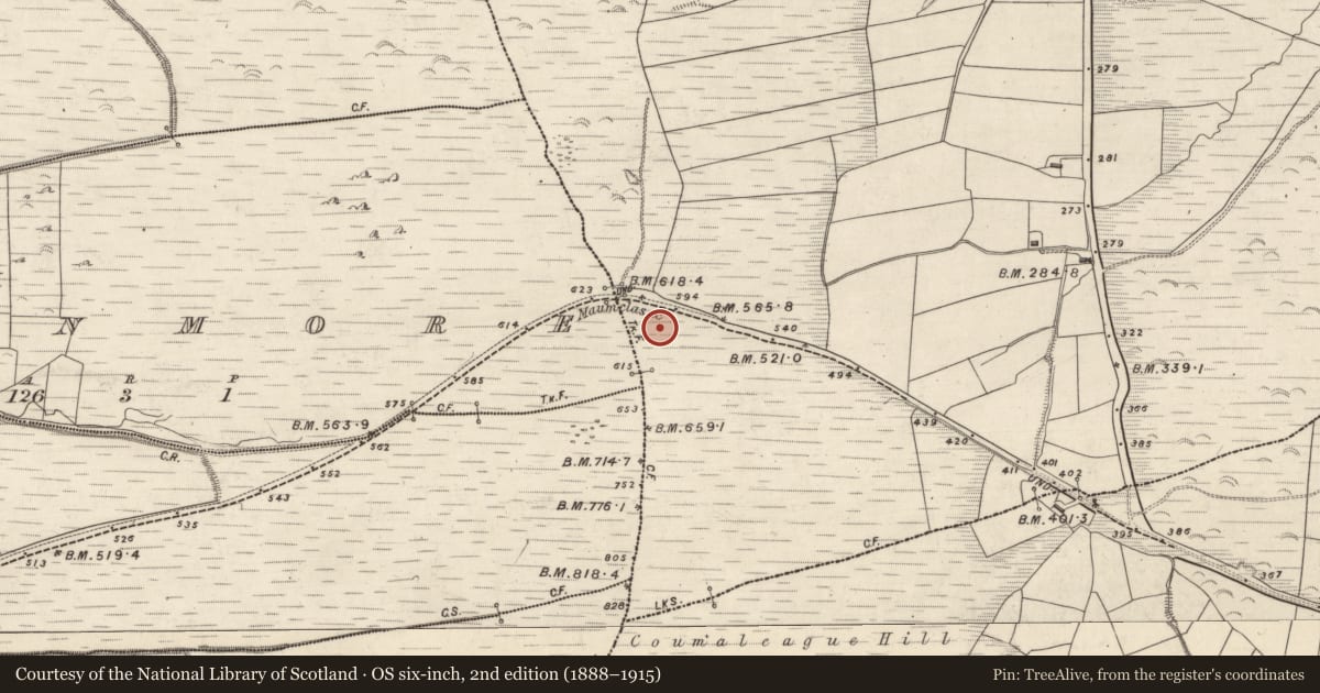 Ordnance Survey six-inch map, 2nd edition (1888–1915) covering the location of Barrow - ring-barrow, Márthain, County Kerry, with a pin at the register's coordinates