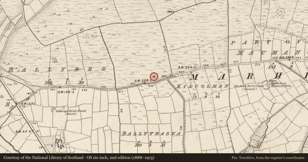 Ordnance Survey six-inch map, 2nd edition (1888–1915) covering the location of Barrow - ring-barrow, Baile An Trasna, County Kerry, with a pin at the register's coordinates