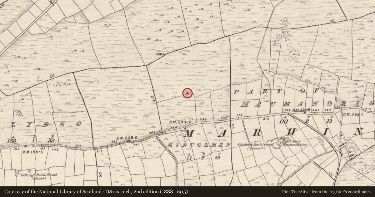 Ordnance Survey six-inch map, 2nd edition (1888–1915) covering the location of Barrow - ring-barrow, Kilcolman, County Kerry, with a pin at the register's coordinates