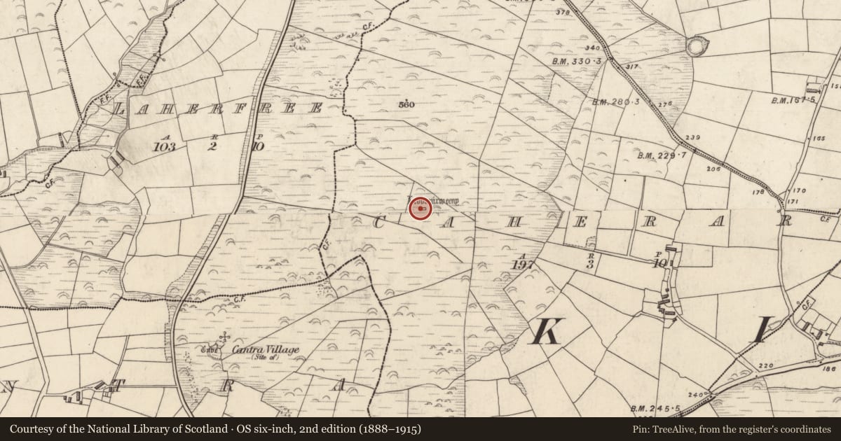 Ordnance Survey six-inch map, 2nd edition (1888–1915) covering the location of Megalithic tomb - wedge tomb, An Chathair Aird, County Kerry, with a pin at the register's coordinates