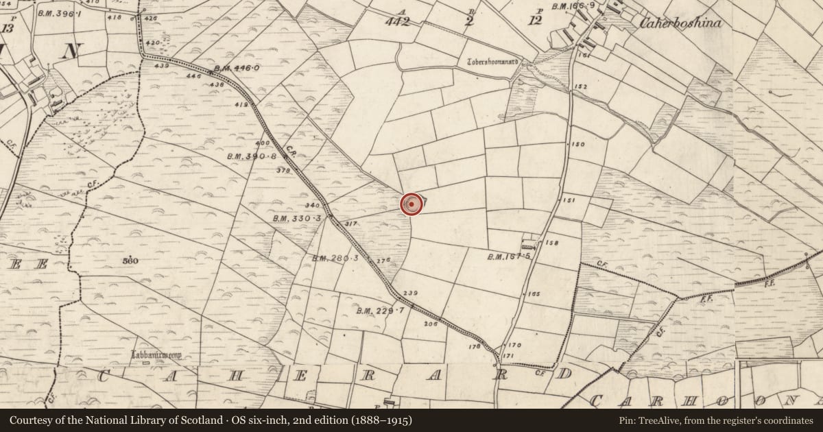 Ordnance Survey six-inch map, 2nd edition (1888–1915) covering the location of Ringfort - rath, Cathair Bó Sine, County Kerry, with a pin at the register's coordinates