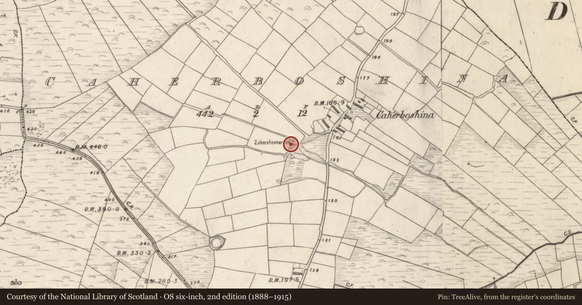 Ordnance Survey six-inch map, 2nd edition (1888–1915) covering the location of Ritual site - holy well, Cathair Bó Sine, County Kerry, with a pin at the register's coordinates