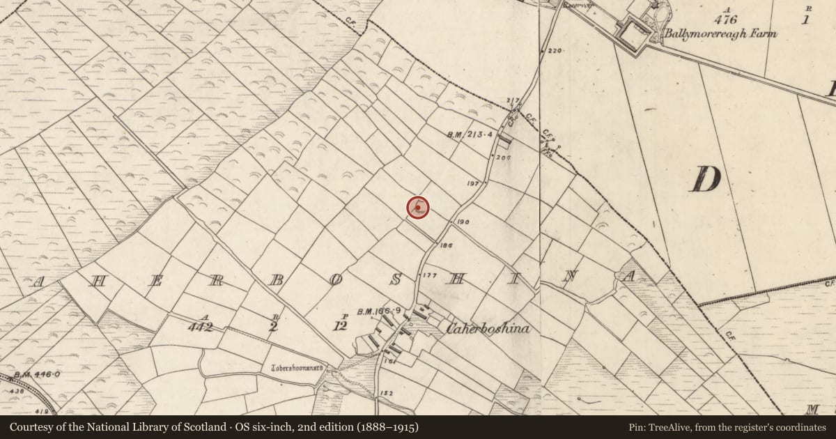 Ordnance Survey six-inch map, 2nd edition (1888–1915) covering the location of Enclosure, Cathair Bó Sine, County Kerry, with a pin at the register's coordinates