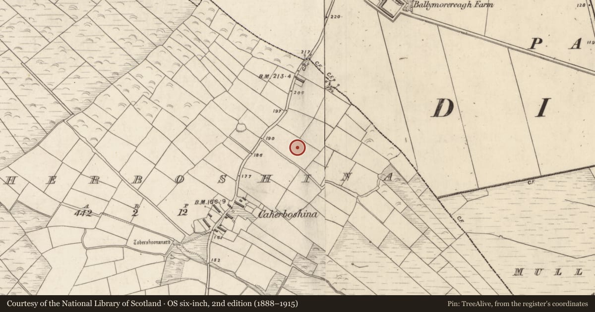 Ordnance Survey six-inch map, 2nd edition (1888–1915) covering the location of Enclosure, Cathair Bó Sine, County Kerry, with a pin at the register's coordinates