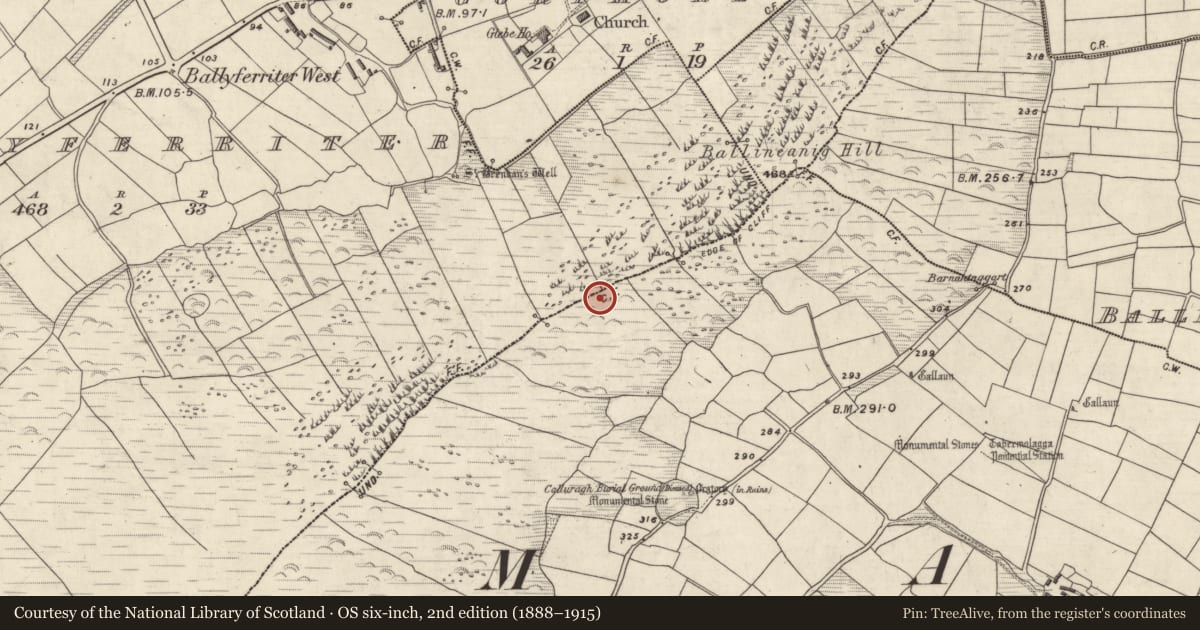 Ordnance Survey six-inch map, 2nd edition (1888–1915) covering the location of Megalithic tomb - wedge tomb, Baile Uí Bhaoithín, County Kerry, with a pin at the register's coordinates