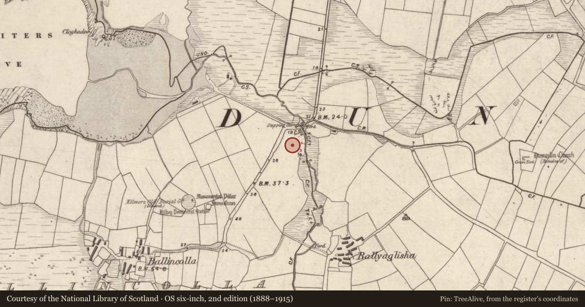 Ordnance Survey six-inch map, 2nd edition (1888–1915) covering the location of Ritual site - holy well, Baile An Chalaidh, County Kerry, with a pin at the register's coordinates