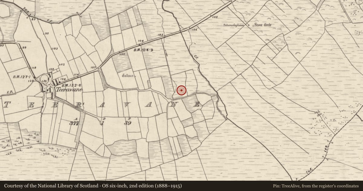 Ordnance Survey six-inch map, 2nd edition (1888–1915) covering the location of Fulacht fia, Tíorabháin, County Kerry, with a pin at the register's coordinates