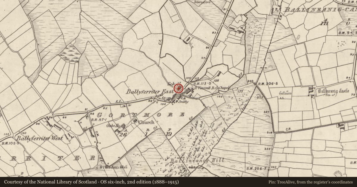 Ordnance Survey six-inch map, 2nd edition (1888–1915) covering the location of Ogham stone (present location), Baile An Fheirtéaraigh, County Kerry, with a pin at the register's coordinates