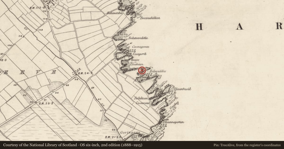 Ordnance Survey six-inch map, 2nd edition (1888–1915) covering the location of Promontory fort - coastal, Ard Na Caithne, County Kerry, with a pin at the register's coordinates