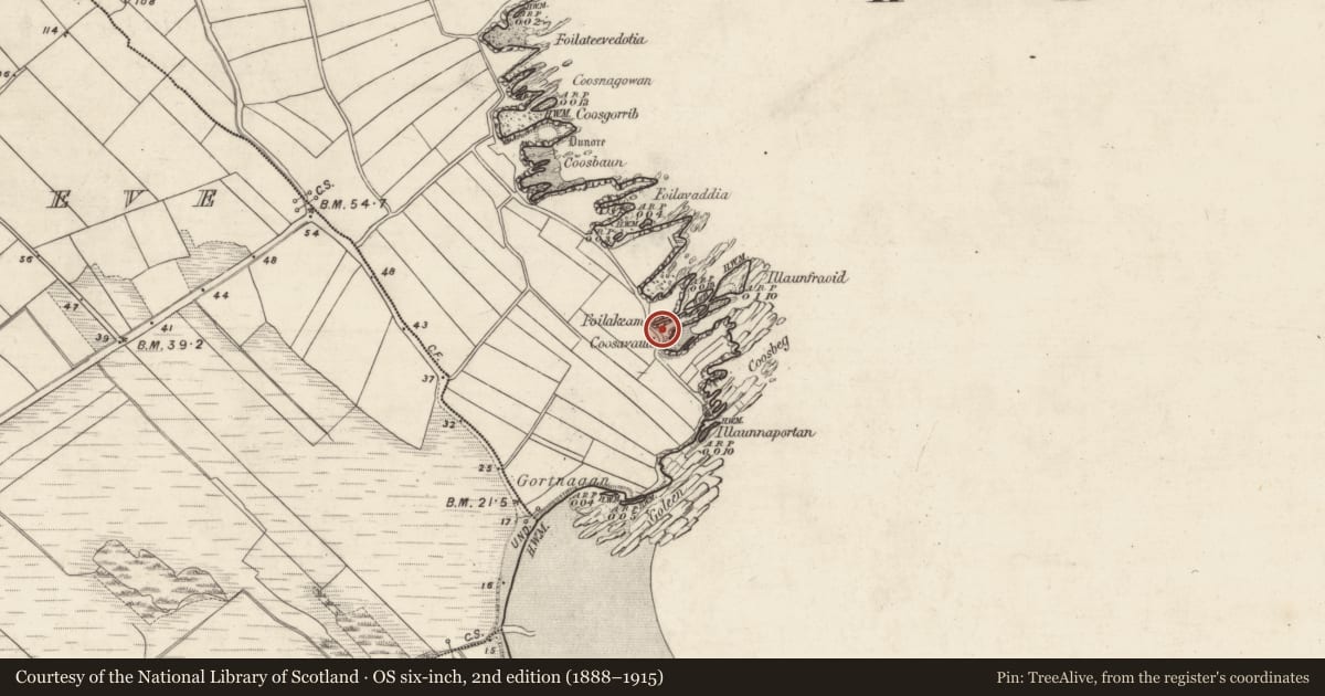 Ordnance Survey six-inch map, 2nd edition (1888–1915) covering the location of Promontory fort - coastal, Ard Na Caithne, County Kerry, with a pin at the register's coordinates