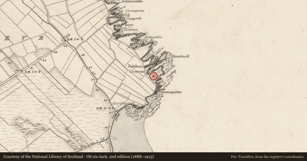 Ordnance Survey six-inch map, 2nd edition (1888–1915) covering the location of Promontory fort - coastal, Ard Na Caithne, County Kerry, with a pin at the register's coordinates