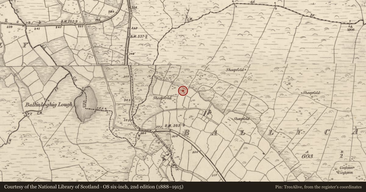 Ordnance Survey six-inch map, 2nd edition (1888–1915) covering the location of Hut site, Baile Cainín, County Kerry, with a pin at the register's coordinates