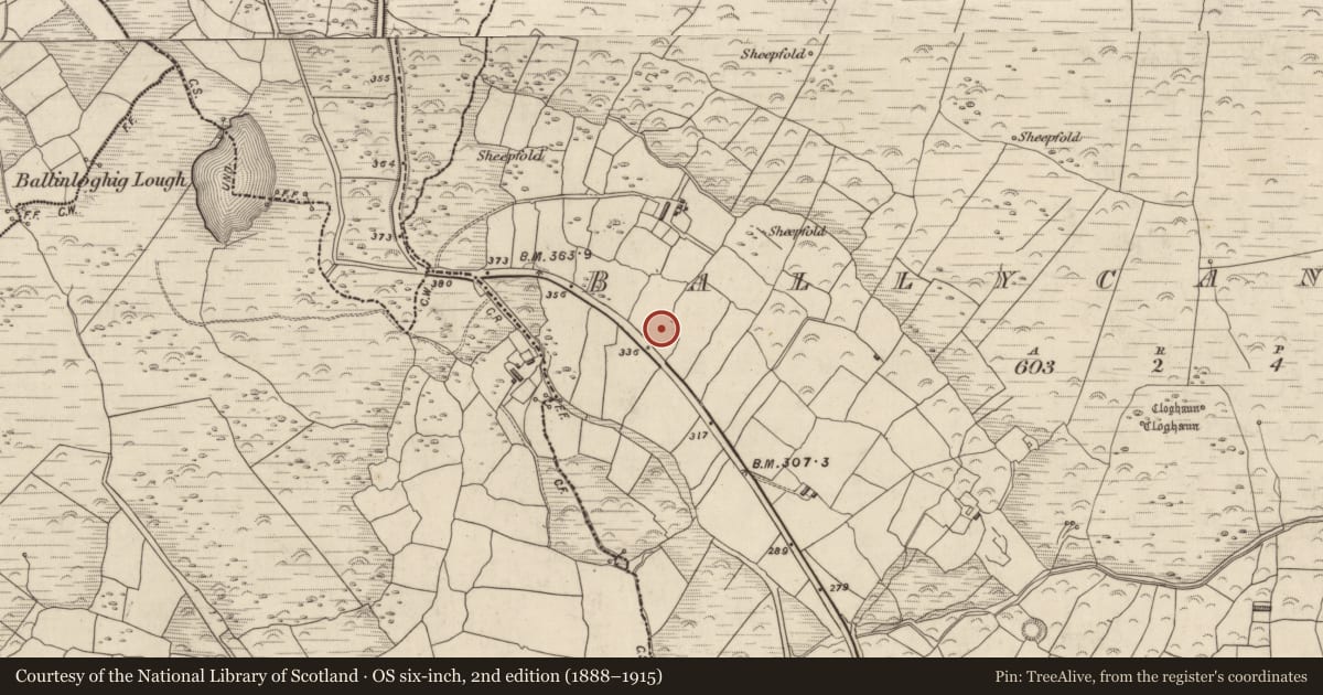 Ordnance Survey six-inch map, 2nd edition (1888–1915) covering the location of Church, Baile Cainín, County Kerry, with a pin at the register's coordinates