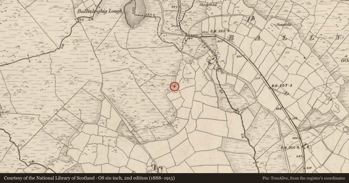 Ordnance Survey six-inch map, 2nd edition (1888–1915) covering the location of Hut site, Rinn Chonaill, County Kerry, with a pin at the register's coordinates