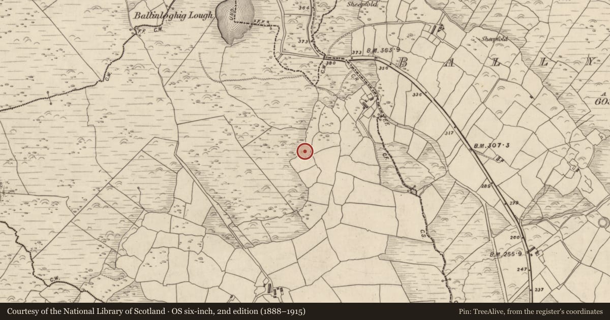 Ordnance Survey six-inch map, 2nd edition (1888–1915) covering the location of Hut site, Rinn Chonaill, County Kerry, with a pin at the register's coordinates
