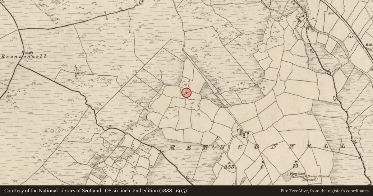 Ordnance Survey six-inch map, 2nd edition (1888–1915) covering the location of Standing stone, Rinn Chonaill, County Kerry, with a pin at the register's coordinates