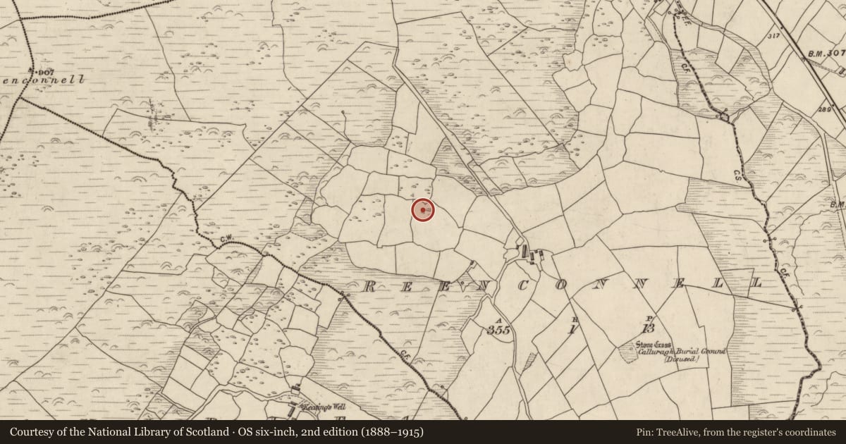 Ordnance Survey six-inch map, 2nd edition (1888–1915) covering the location of Standing stone, Rinn Chonaill, County Kerry, with a pin at the register's coordinates