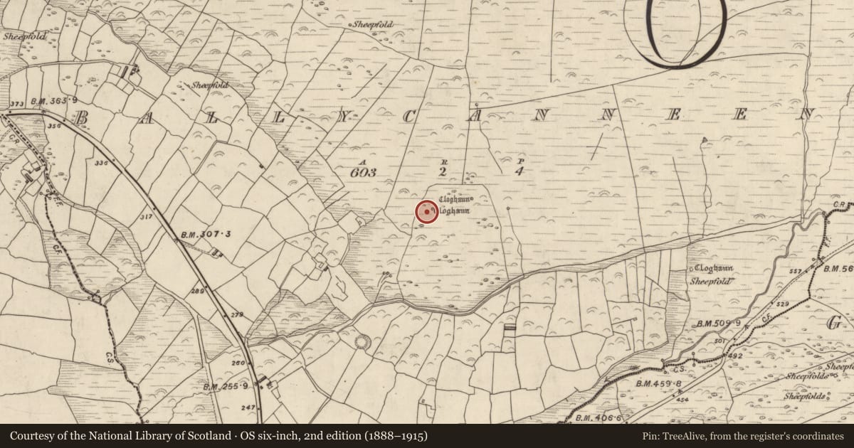 Ordnance Survey six-inch map, 2nd edition (1888–1915) covering the location of Hut site, Baile Cainín, County Kerry, with a pin at the register's coordinates