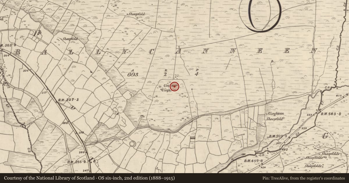 Ordnance Survey six-inch map, 2nd edition (1888–1915) covering the location of Hut site, Baile Cainín, County Kerry, with a pin at the register's coordinates