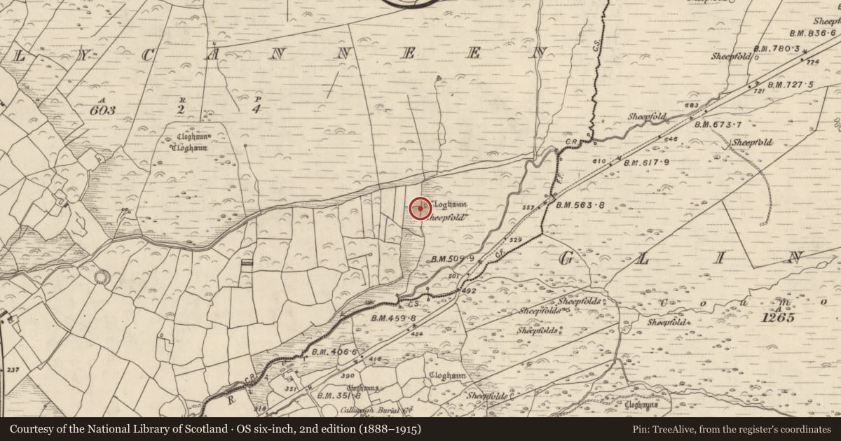 Ordnance Survey six-inch map, 2nd edition (1888–1915) covering the location of Hut site, Baile Cainín, County Kerry, with a pin at the register's coordinates