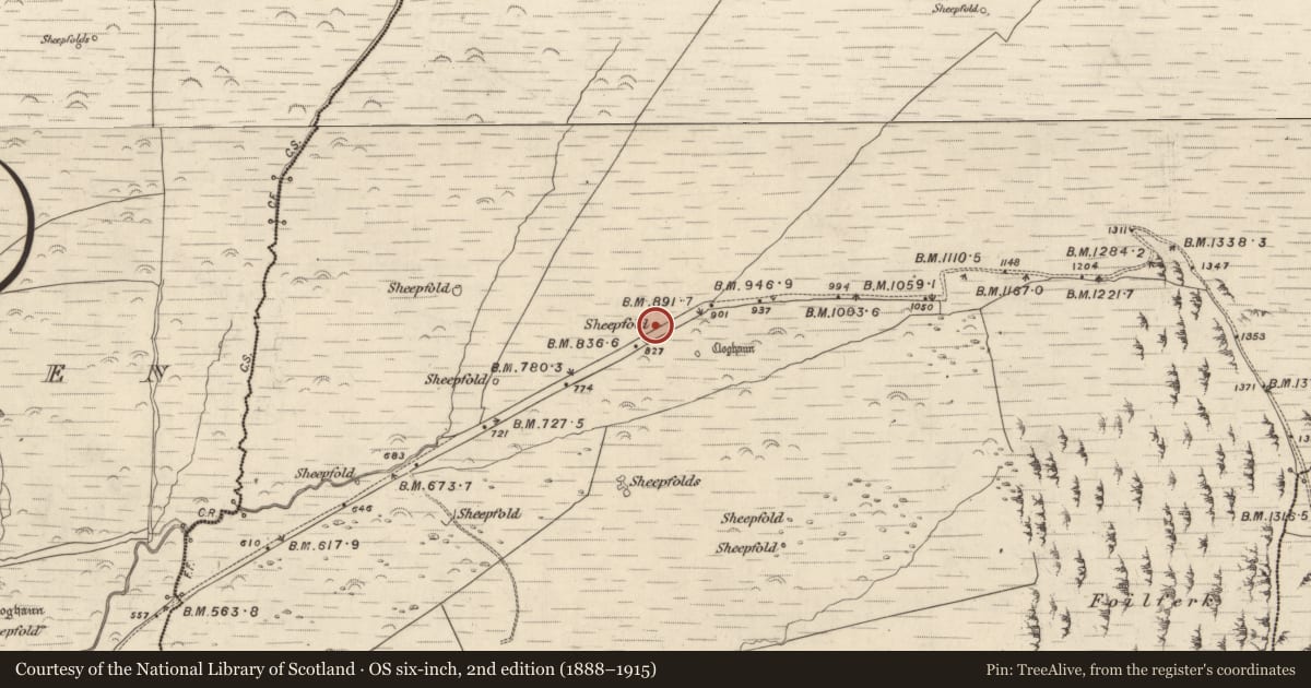 Ordnance Survey six-inch map, 2nd edition (1888–1915) covering the location of Hut site, Na Gleannta Thuaidh, County Kerry, with a pin at the register's coordinates