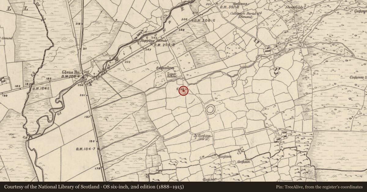 Ordnance Survey six-inch map, 2nd edition (1888–1915) covering the location of Souterrain, Na Gleannta Thuaidh, County Kerry, with a pin at the register's coordinates