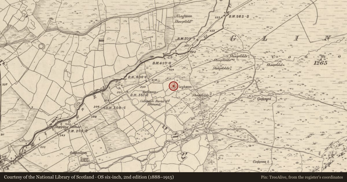Ordnance Survey six-inch map, 2nd edition (1888–1915) covering the location of Hut site, Na Gleannta Thuaidh, County Kerry, with a pin at the register's coordinates