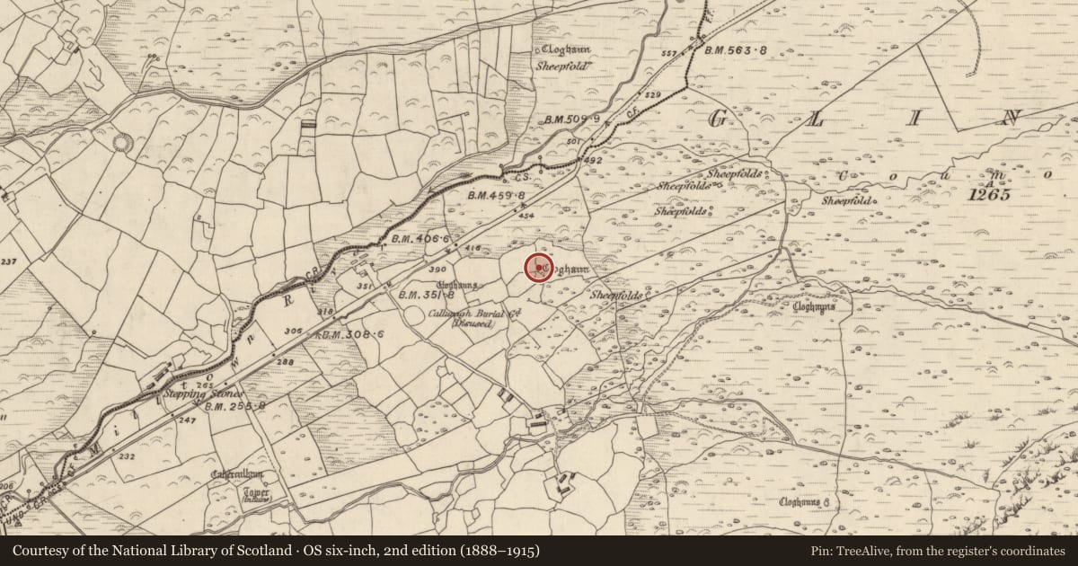 Ordnance Survey six-inch map, 2nd edition (1888–1915) covering the location of Hut site, Na Gleannta Thuaidh, County Kerry, with a pin at the register's coordinates
