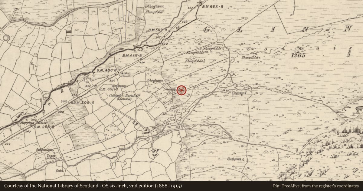 Ordnance Survey six-inch map, 2nd edition (1888–1915) covering the location of Hut site, Na Gleannta Thuaidh, County Kerry, with a pin at the register's coordinates