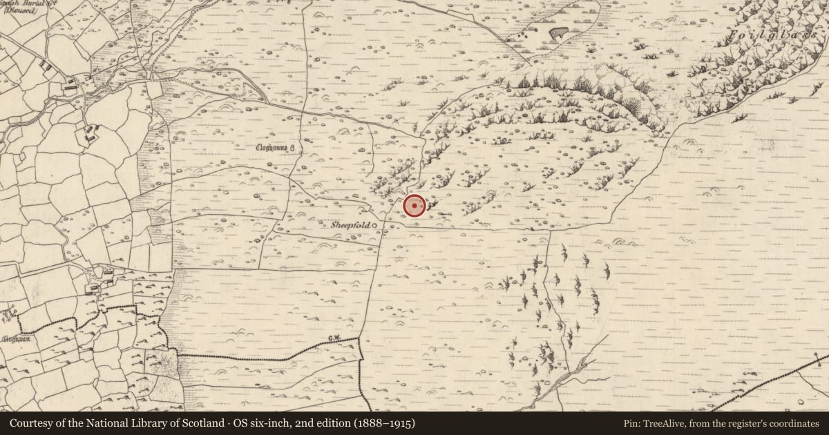 Ordnance Survey six-inch map, 2nd edition (1888–1915) covering the location of Hut site, Na Gleannta Thuaidh, County Kerry, with a pin at the register's coordinates