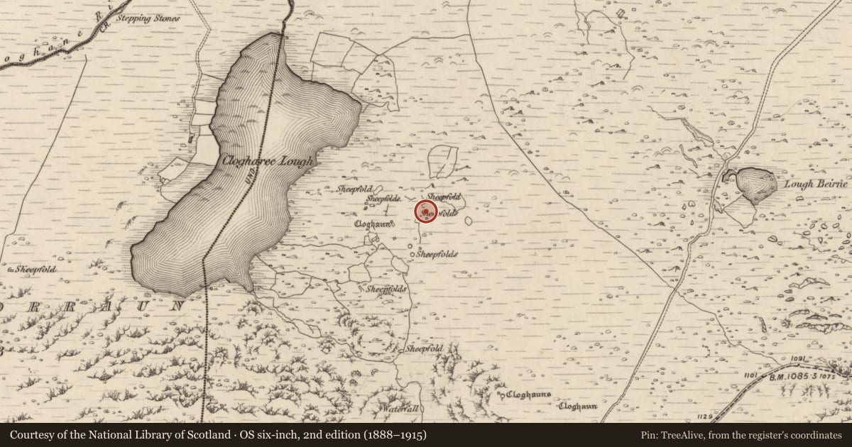 Ordnance Survey six-inch map, 2nd edition (1888–1915) covering the location of Hut site, Cloichearaí, County Kerry, with a pin at the register's coordinates