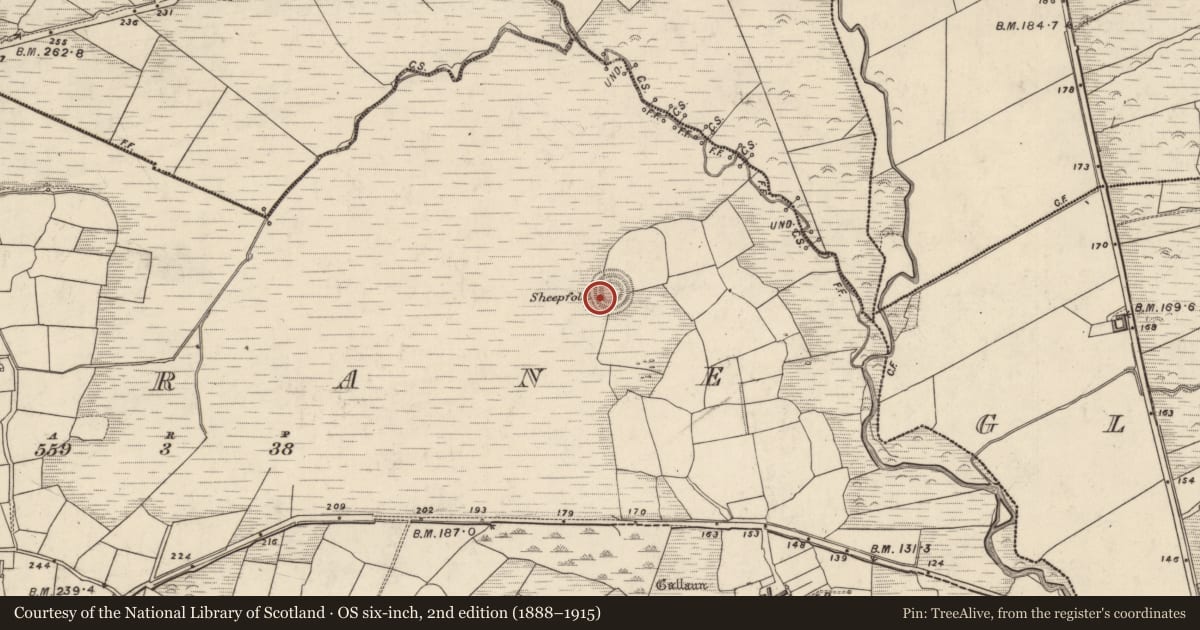 Ordnance Survey six-inch map, 2nd edition (1888–1915) covering the location of Ringfort - rath, An Garrán, County Kerry, with a pin at the register's coordinates