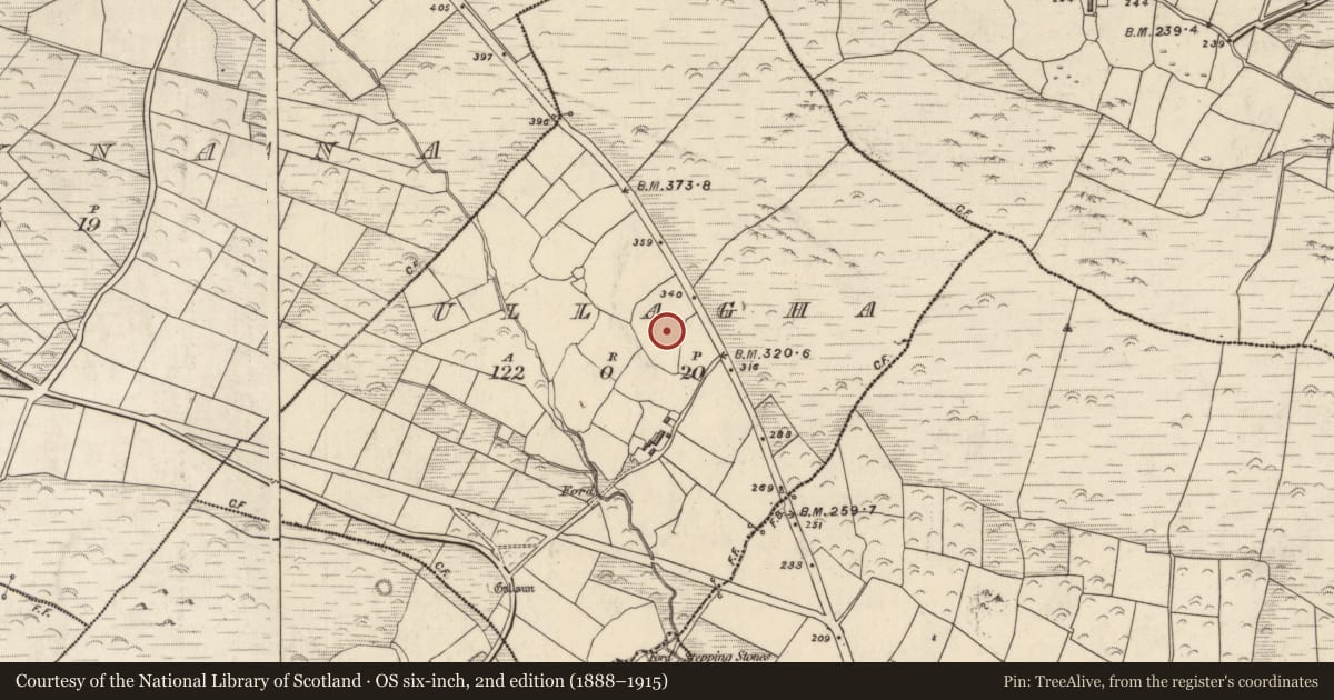 Ordnance Survey six-inch map, 2nd edition (1888–1915) covering the location of Standing stone, Ulacha, County Kerry, with a pin at the register's coordinates