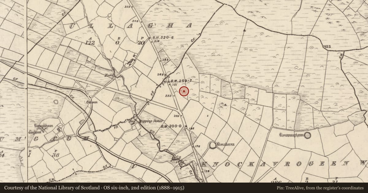 Ordnance Survey six-inch map, 2nd edition (1888–1915) covering the location of Ringfort - rath, Cnoc An Bhróigín Thiar, County Kerry, with a pin at the register's coordinates