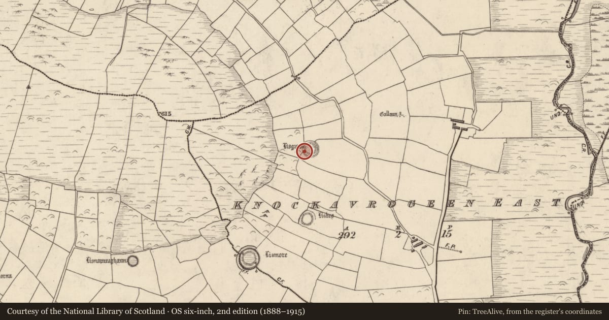 Ordnance Survey six-inch map, 2nd edition (1888–1915) covering the location of Ringfort - rath, Cnoc An Bhróigín Thoir, County Kerry, with a pin at the register's coordinates
