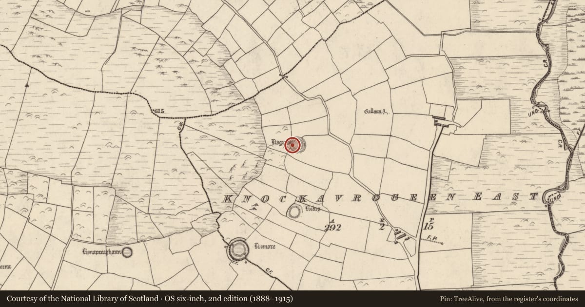 Ordnance Survey six-inch map, 2nd edition (1888–1915) covering the location of Souterrain, Cnoc An Bhróigín Thoir, County Kerry, with a pin at the register's coordinates
