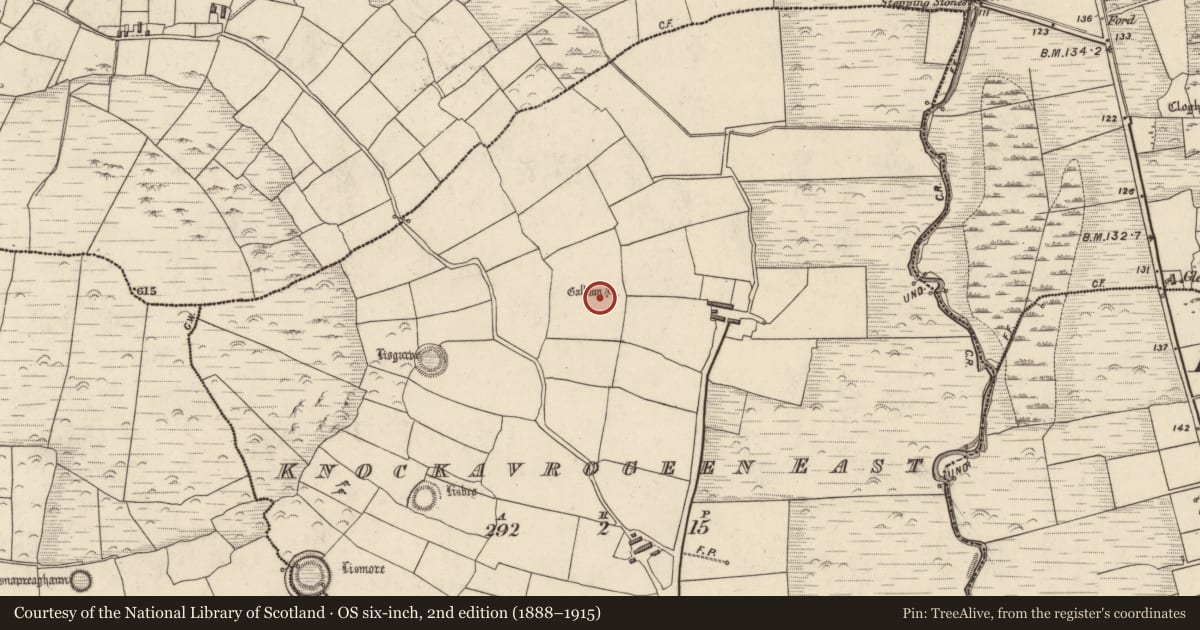 Ordnance Survey six-inch map, 2nd edition (1888–1915) covering the location of Standing stone - pair, Cnoc An Bhróigín Thoir, County Kerry, with a pin at the register's coordinates