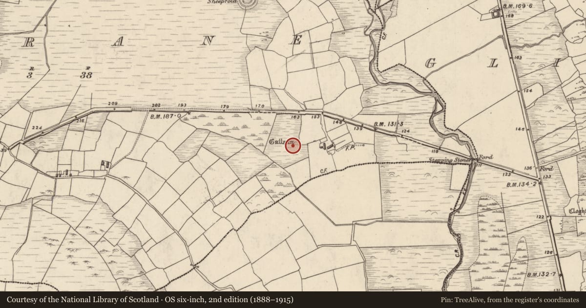 Ordnance Survey six-inch map, 2nd edition (1888–1915) covering the location of Standing stone - pair, An Garrán, County Kerry, with a pin at the register's coordinates