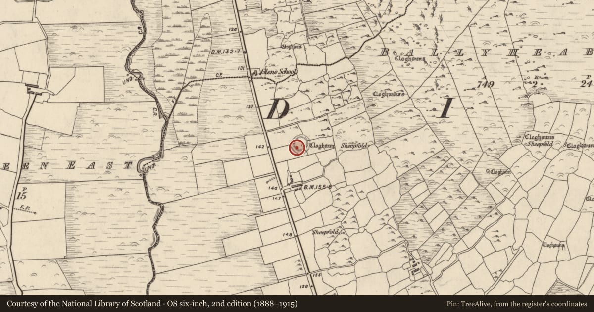 Ordnance Survey six-inch map, 2nd edition (1888–1915) covering the location of Ringfort - rath, Baile Uí Shé, County Kerry, with a pin at the register's coordinates