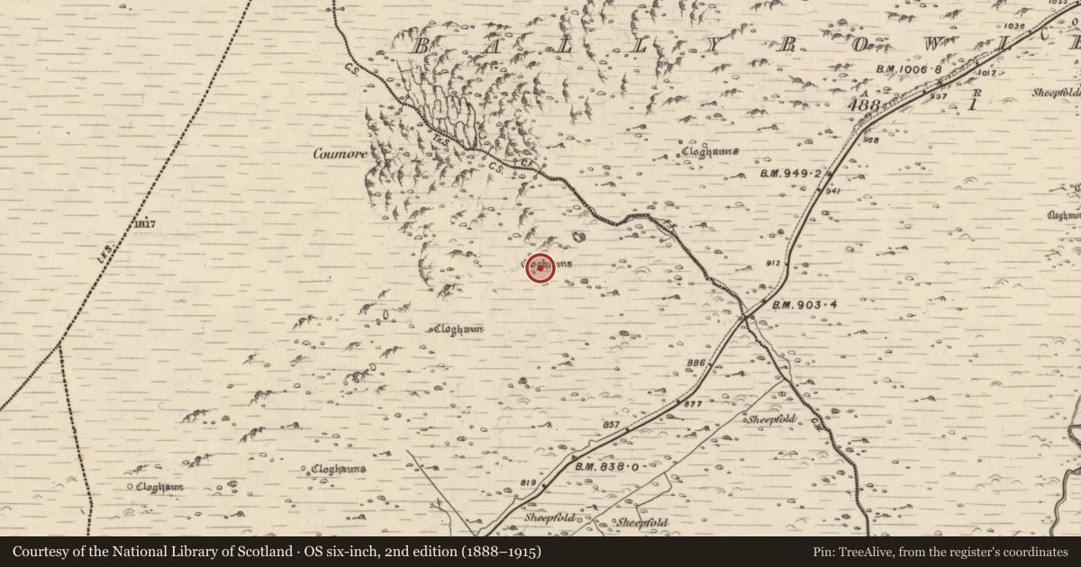 Ordnance Survey six-inch map, 2nd edition (1888–1915) covering the location of Hut site, Com An Bhúlaeraigh, County Kerry, with a pin at the register's coordinates