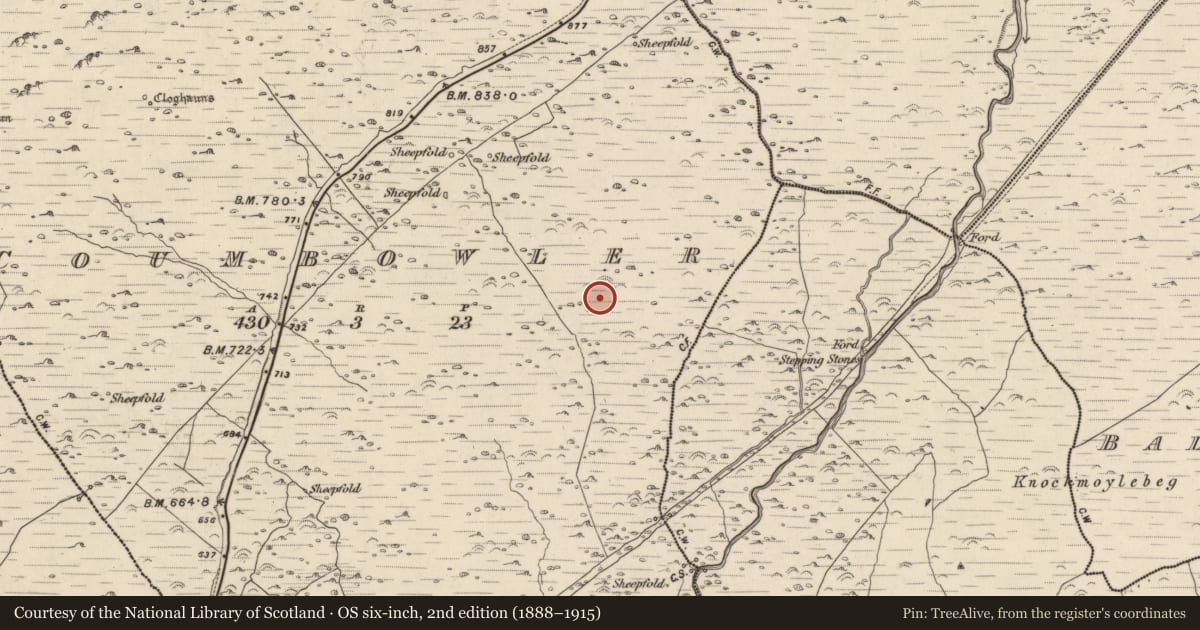 Ordnance Survey six-inch map, 2nd edition (1888–1915) covering the location of Hut site, Com An Bhúlaeraigh, County Kerry, with a pin at the register's coordinates