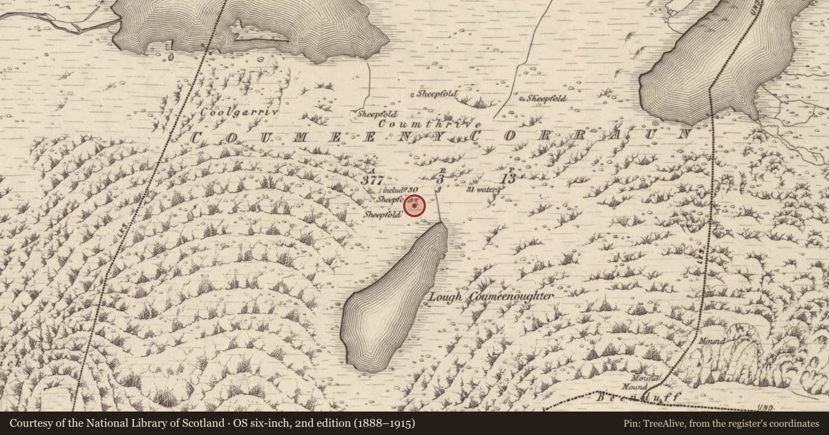 Ordnance Survey six-inch map, 2nd edition (1888–1915) covering the location of Hut site, Coimín Uí Chorráin, County Kerry, with a pin at the register's coordinates