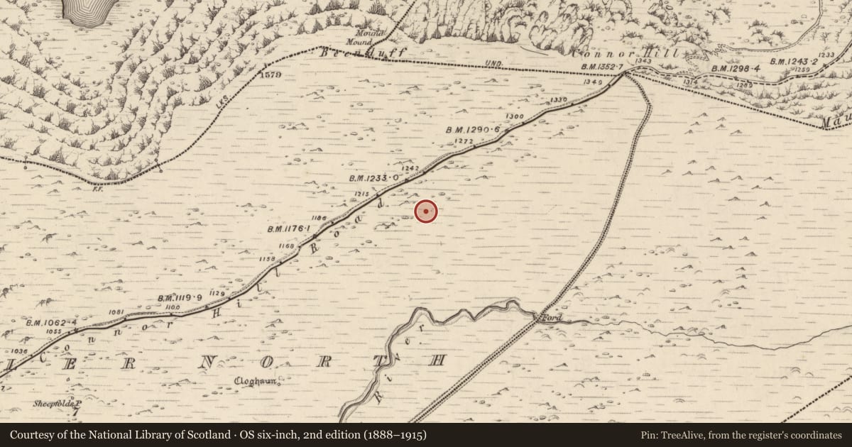 Ordnance Survey six-inch map, 2nd edition (1888–1915) covering the location of Clochan, Baile An Bhúlaeraigh Thuaidh, County Kerry, with a pin at the register's coordinates
