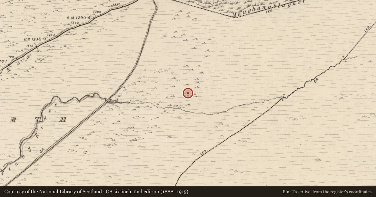 Ordnance Survey six-inch map, 2nd edition (1888–1915) covering the location of Clochan, Baile Ristín, County Kerry, with a pin at the register's coordinates