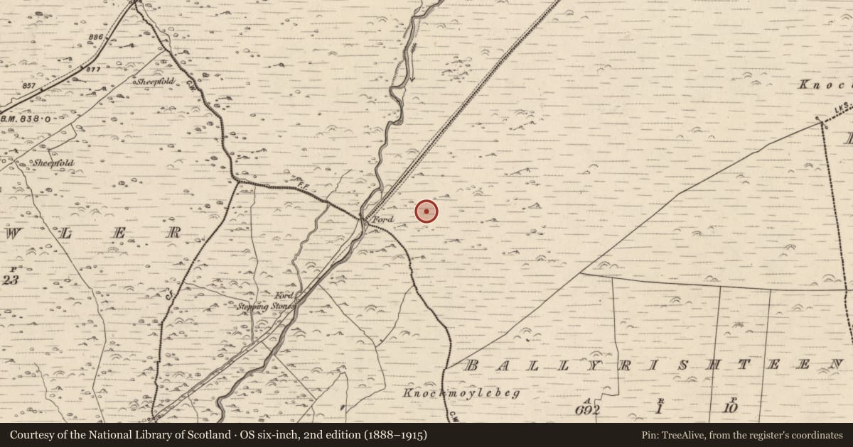 Ordnance Survey six-inch map, 2nd edition (1888–1915) covering the location of Hut site, Baile Ristín, County Kerry, with a pin at the register's coordinates