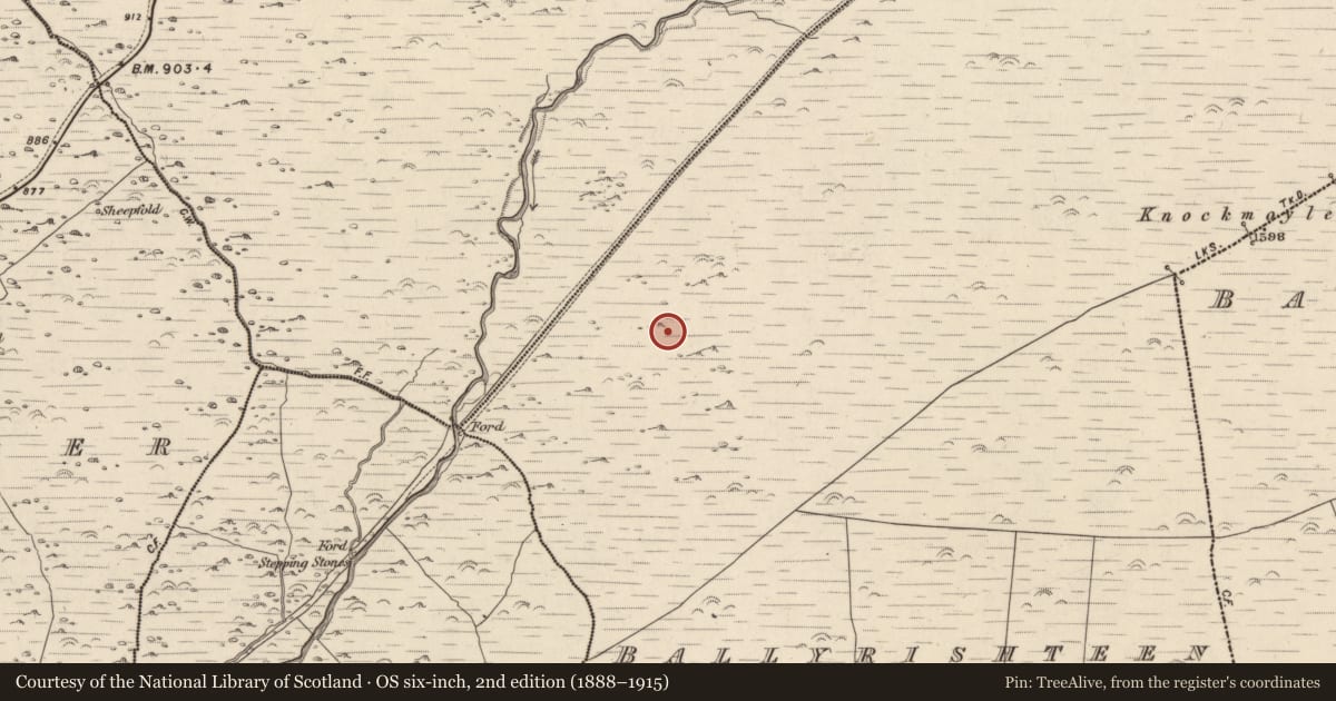 Ordnance Survey six-inch map, 2nd edition (1888–1915) covering the location of Hut site, Baile Ristín, County Kerry, with a pin at the register's coordinates