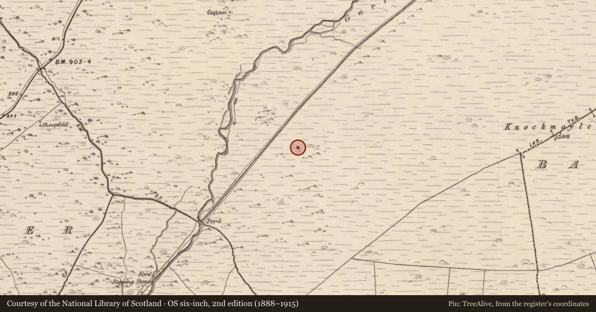 Ordnance Survey six-inch map, 2nd edition (1888–1915) covering the location of Hut site, Baile Ristín, County Kerry, with a pin at the register's coordinates