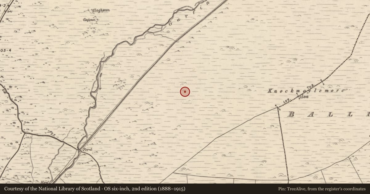 Ordnance Survey six-inch map, 2nd edition (1888–1915) covering the location of Hut site, Baile Ristín, County Kerry, with a pin at the register's coordinates