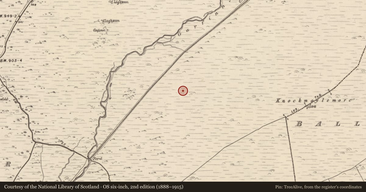 Ordnance Survey six-inch map, 2nd edition (1888–1915) covering the location of Hut site, Baile Ristín, County Kerry, with a pin at the register's coordinates